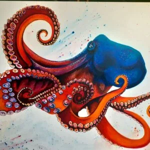 Octopus