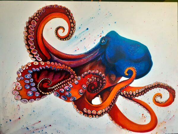Octopus